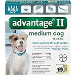 Product image for barcode 724089202673