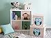 DII Nursery Storage Bins for Toys, Clothing, Books, Cube Organizers (13 x 13 x 13), Owl, w/Lid