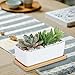 CINOTON Succulent Plant Pots Indoor, 6.69 inch Ceramic Planter Set, Square Flower Pot with Bamboo Tray for Cactus Decor Bedroom Garden Decorations