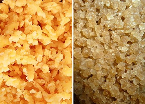 Dehydrated Milk and Water Kefir Grains Combo