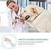 Casfuy Dog Nail Grinder 2018 Upgraded Rechargeable Electric Pet Nail Grinder Portable and Ultra Quite for Small Medium Large Dogs