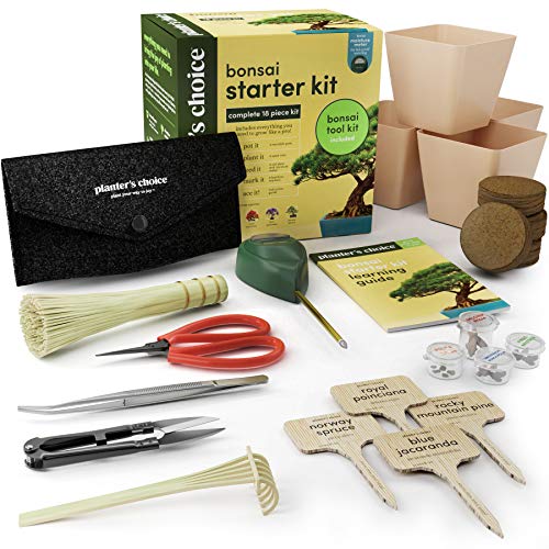 Bonsai Starter Kit (Bonsai Kit) Pricepulse