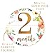 Baby Monthly Milestone Stickers. 16 Floral Belly Stickers for Girls 0-12 Months. Premium Gold Metallic Design. Perfect for Baby Shower Gifts, Registry, First Year Newborn Photography. Angie Makes