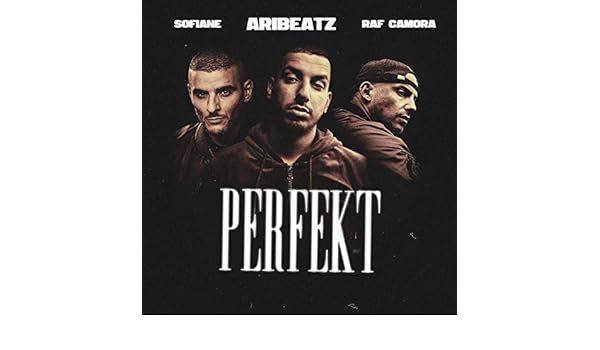 Get Raf camora perfekt texte For iPhone Free Raf Camora Perfekt Texte
