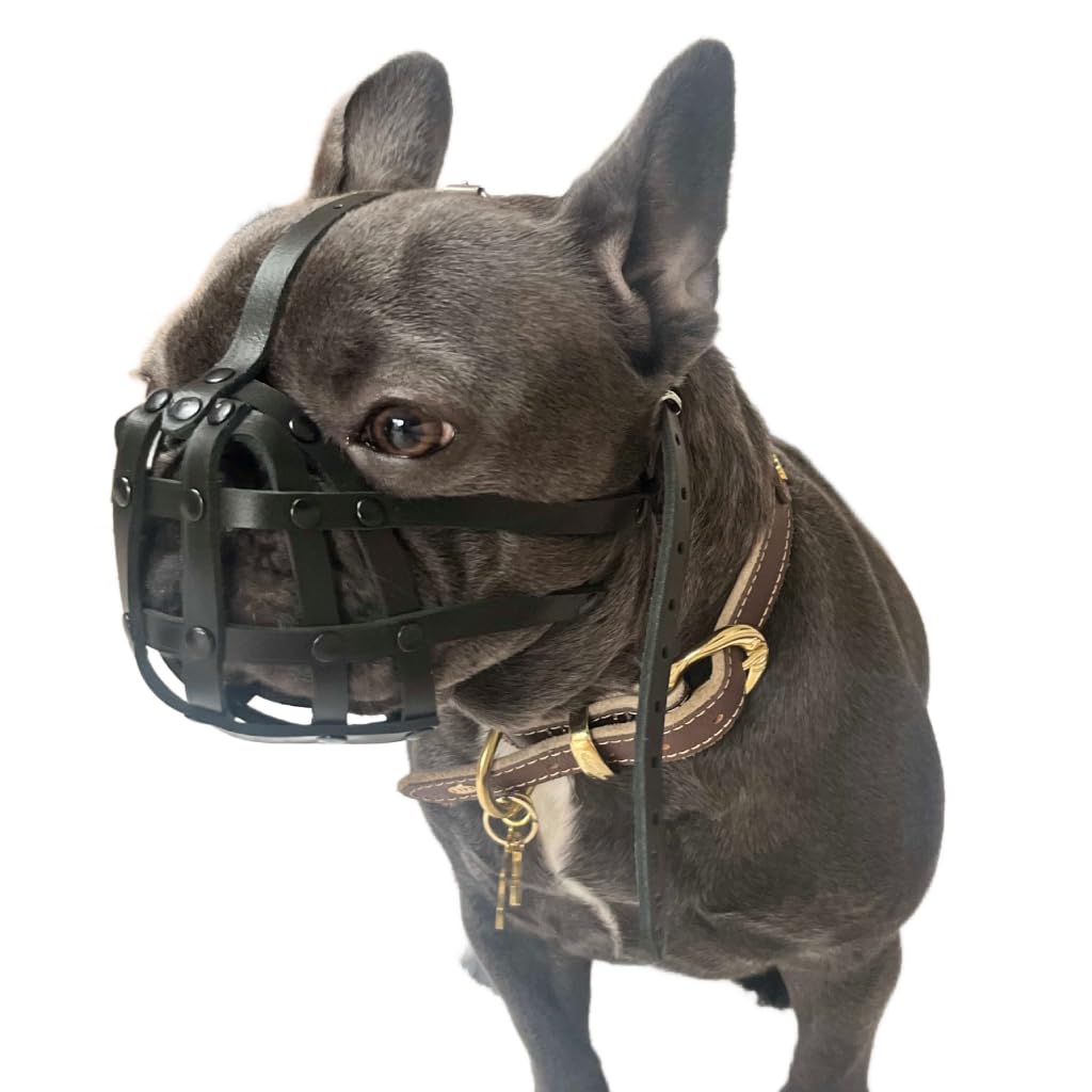 Nylon Dog Muzzle for French Bulldog "Frenchies" a Other similar snouts short snout