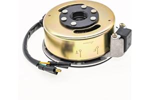 2 Coil Ignition Magneto Stator Flywheel Rotor Kit ATV Magneto Stator Plate for 50cc 70cc 90cc 110cc 125cc Taotao Kazuma SSR B
