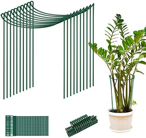 10本入り 植物サポート杭 25x40cm 植物サポートリング 半円形 メタルガーデンプラント杭 植物ステーク 金属植物サポート トマト アジサイ 花つる 野菜サポート 花支え 盆栽用 果物 支柱 苗木 固定 園芸 ガーデニング用品 植物に優しい 簡単設置