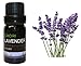Lavender - 100% Pure Therapeutic Grade Essential Oil 10ML ( EMORI )