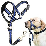 Muzzle Leash for Heavy Pullers, No Pull Stylish