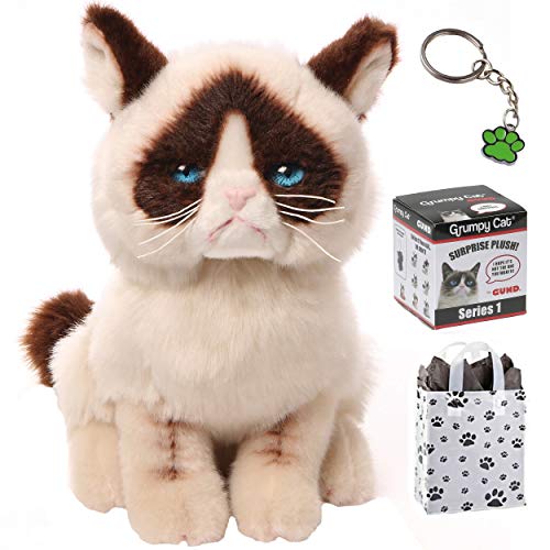 Grumpy Cat GUND 9" Plush Toy, Blind Box Series 1, Keychain & Bag Bundle Set