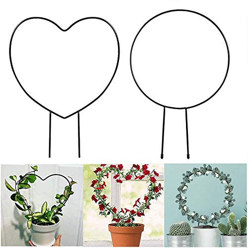Blumenständer für Kletterpflanzen, Topfblumen, dekoratives Gestell, Sternform, Metall, Rankgitter für Topfpflanzen… – Bild 5