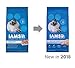 Iams Proactive Health Adult Cat Oral Care Chicken Dry Cat Food 7 Pounds