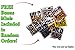 Wild Foods Immune Support Tea | Organic Elderberry, Currant, Hibiscus and Cranberry | Superberry Antioxidant Blend Loose Leaf Herbal Teas | Natural Immunity Boost | (TWO x 4 ounce)