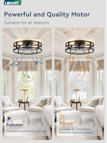 LEDIARY 20" Caged Ceiling Fan with Light and Remote, Low Profile Flush Mount Fandelier, Black Bladeless Enclosed Small Fan Lights Ceiling Fixtures, Rustic Farmhouse Style for Bedroom, Outdoor