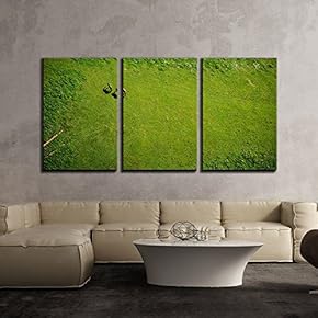 3 Piece Canvas Wall Art - Bird