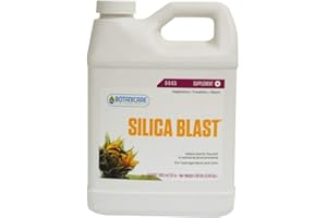 Silica Blast 1 Litre - NA0164GS