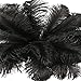 Lanpeed 10pcs Ostrich Feathers 18-20 inch (45-50cm) for Home Wedding Party Decoration (Black)