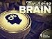 The Aging Brain