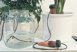 Blumat Classic Plant Watering Stakes