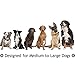 AINOLWAY Medium Large Rope Dog Toys 6 Pack Set, 4 Sturdy Rope Toy with Ball and Handle for Tug of War & 1 Wooden Dog Bone & 1 Squeaker Football, Assortment for Large Breeds and Big Puppies