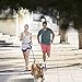 UgBaBa Hands Free Dog Leash for Walking Running Training Jogging,Heavy Duty Double Shock Absorbing Bungee Dog Leash Kit for 2 Dogs,Adjustable Waist Belt,Reflective, 3 Handles for Extra Control