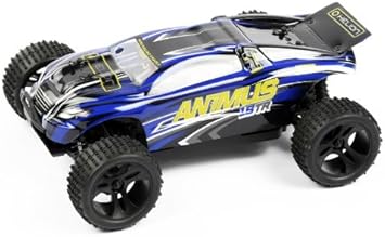 animus rc car