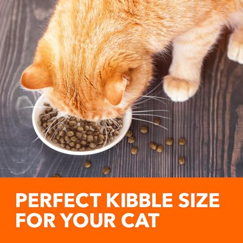 IAMS PROACTIVE HEALTH ADULT HEALTHY DRY CAT FOOD WITH SALMON, 7 LB. BAG