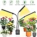 Grow Light for Indoor Plant,BEIEN 60W 144 LED Auto ON/Off Timer Full Spectrum Plant Lights 3/6/12H Cycle Timing Stepless Dimmable Brightness 4 Switch Modes,Tri Head Adjustable Gooseneck