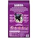 IAMS Proactive Health Dry Dog Food, Large Breed Mature Premium Adult Dog Food for Large Breeds, with Chicken, 15 Lb. Bag