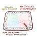 Water Drawing Mat Aqua Doodle Mats Magic Doodle Board Water Paint Pad Toddler Educational Toys Travel Toys for Toddlers Sketch Pad for Kids Magic Canvas Reusable No Mess No Chemicals Size15X11.5in