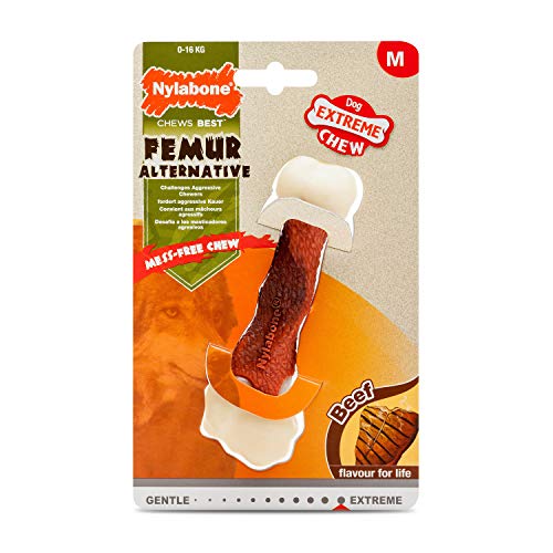 Nylabone Extreme Tough Dog Chew Toy Femur Alternative, Mess-Free, Beef Flavour, Medium, for Dogs Upto 16 kg