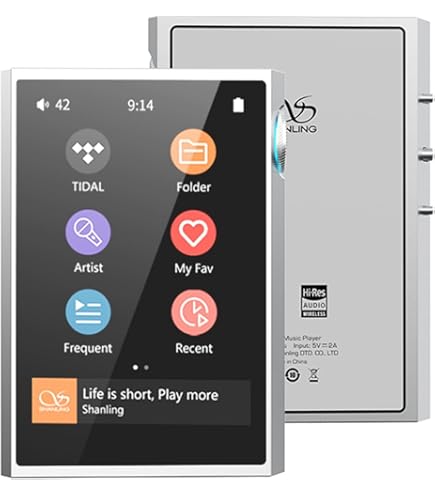 Amazon.com: SHANLING Protective Leather Case Cover for M1 Plus