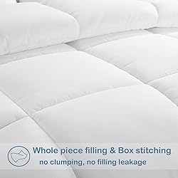 EASELAND All Season Queen Size Soft Quilted Down