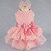 Fitwarm Luxury Pink Lace Dog Tutu Dress Pet Wedding Clothes Shirts + Matching Hair Clip, Pink, Small