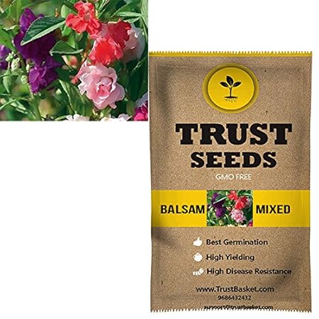 TrustBasket Balsam mixed Flowers Seeds (GMO Free)