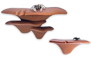 DAERKY Jumping Spider Mushroom Shelf, Magnetically Concealed Jumping Spider Habitat,Serves As Enclosure Decorate Accessories for Spider Climbing Feeding and Platforms (Brown)