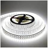 LEDENET Cold White 5M Double Row 3528 SMD 1200LEDs Flexible Strip Tape Light 240LEDs/M Ribbon Lamp DC 12V 16.4Ft (Cold White Strip)