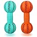 Bone Shape Dog Dental Toy Slow Eat Free BPA Rubber 2 Pack Playing Toy Balls for Dog