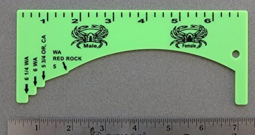 Lime Green Crab Gauge Measurer Oregon Washington California