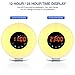 Wake Up Light Alarm Clock – 7 Color Light – Sunrise Simulator With Night Light – With Nature Sounds or FM Radio Alarm – USB Charger – Touch Control – For Heavy Sleepers & Kids