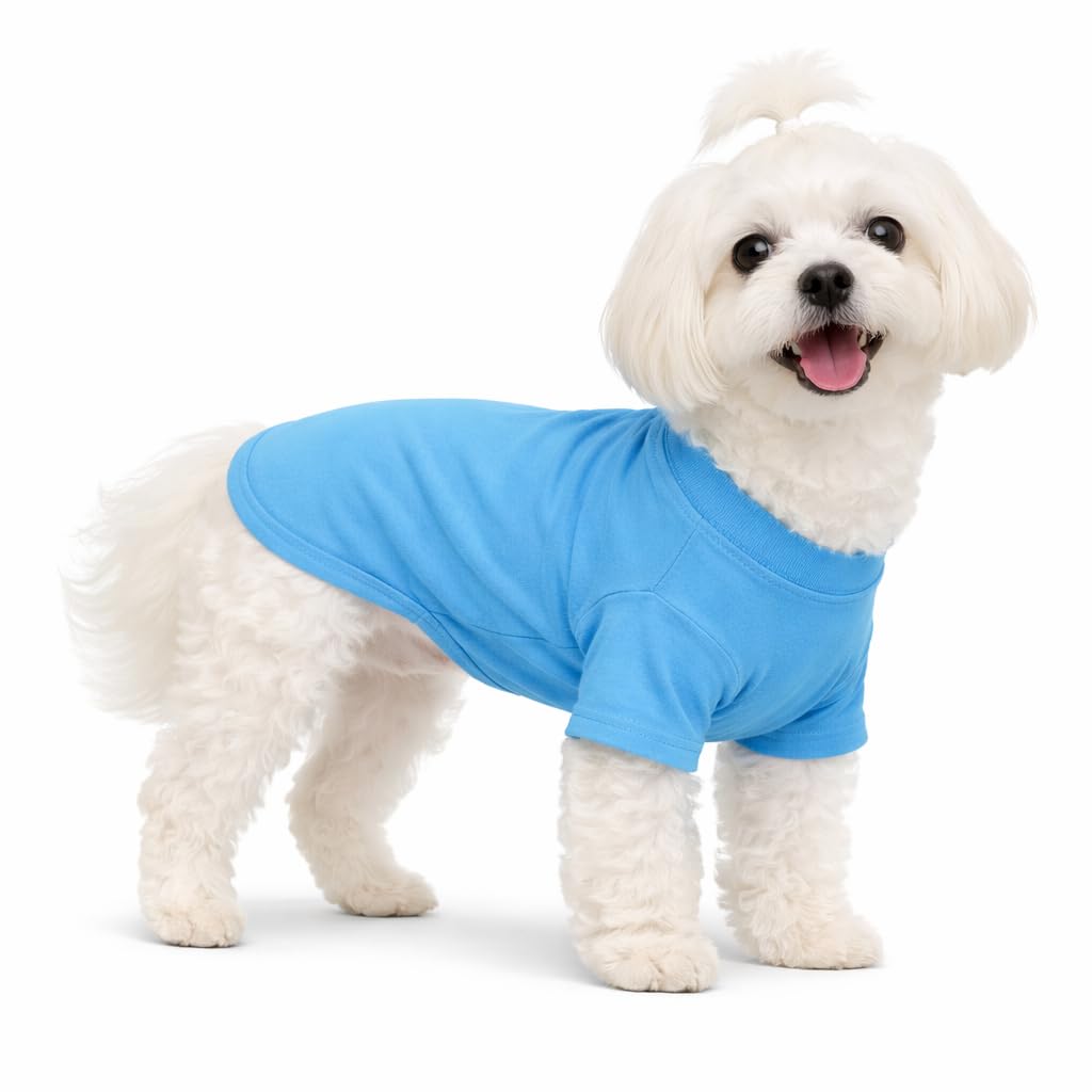 Lovelonglong Pet Clothing Dog Costumes Basic Blank T-Shirt Tee Shirts for Small Dogs Lake-blue XS