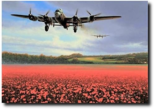 Planejunkie for Freedom by Richard Taylor - Avro Lancaster - Aviation Art Print