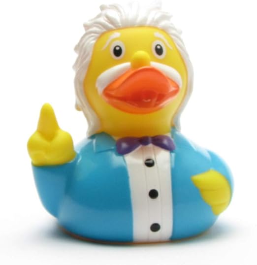 einstein rubber duck