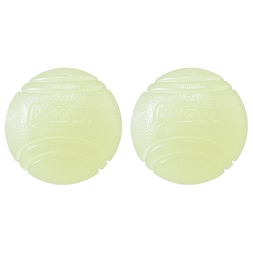 Alnicov 2pcs Luminous Balls for Fun Pet Training and Dog Training