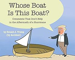 Whose Boat Is This Boat?: Comments That Don't Help in the Aftermath of a Hurricane