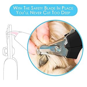 Candure Tagliaunghie Cane e Gatto con Guardia per Protezione Cani - Acciaio Inossidabile Tagliaunghie Gatto…