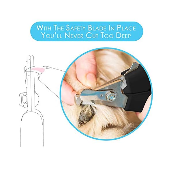 Candure Tagliaunghie Cane e Gatto con Guardia per Protezione Cani - Acciaio Inossidabile Tagliaunghie Gatto…