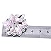 ELEGANTPARK AJ Shoes Dress Hat Accessories Fashion Rhinestones Crystal Shoe Clips 2 Pcs Pink