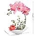 Louis Garden Artificial Silk Flowers 7 Head Simulation Phalaenopsis Bonsai (Simulation of Water) (Pink)