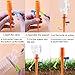 Milemont Plant Watering Spikes self Watering Devices with Slow Release Control Valve Switch Self Irrigation Watering Drip Devices for Potted Plants Flower Vegetables 12 Pack/Set